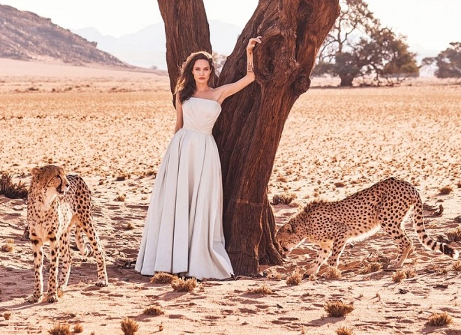 Orphaned cheetah cubs saved by Angelina Jolie all grown up [PHOTOS &amp; VIDEO]