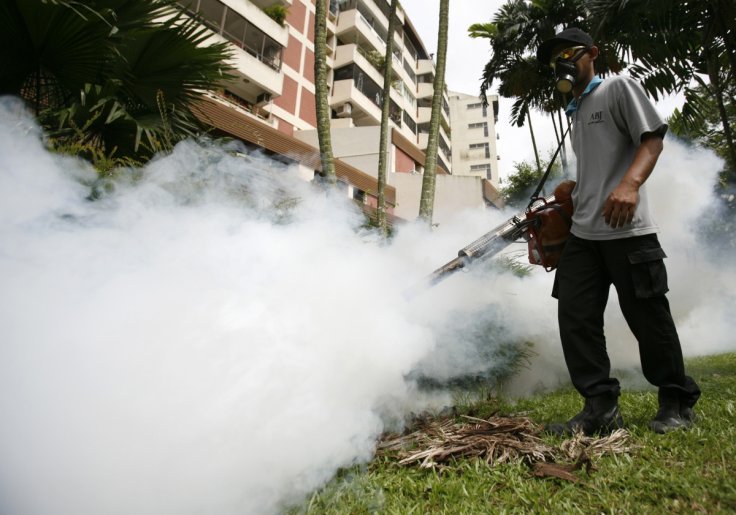 Singapore dengue crisis