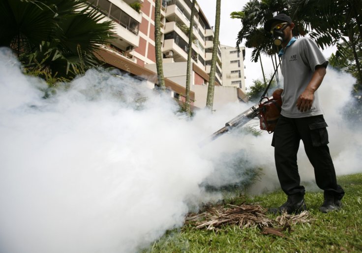 Singapore dengue crisis Singapore dengue crisis
