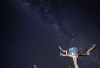 Stunning timelapse shows koala sleeping underneath Milky Way galaxy