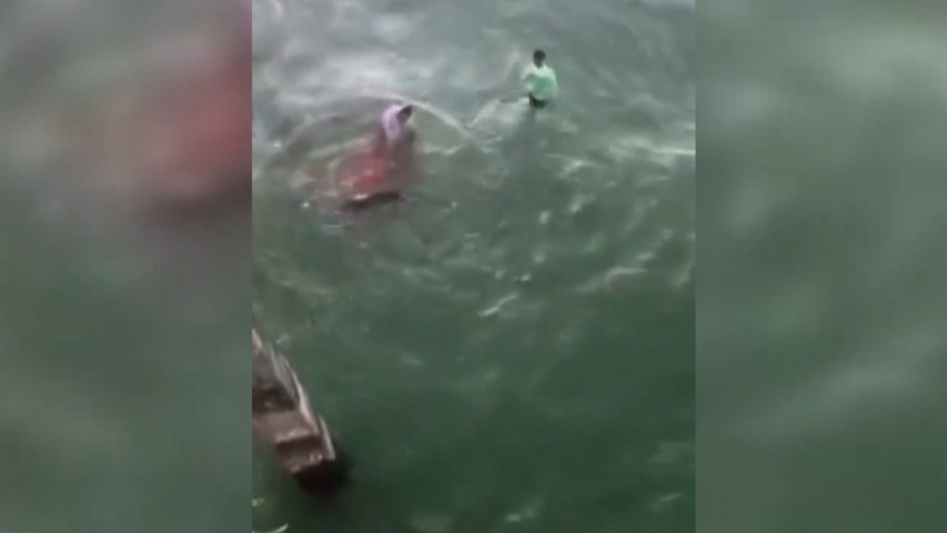 Video shows moment man is bitten by shark at North Carolina beach