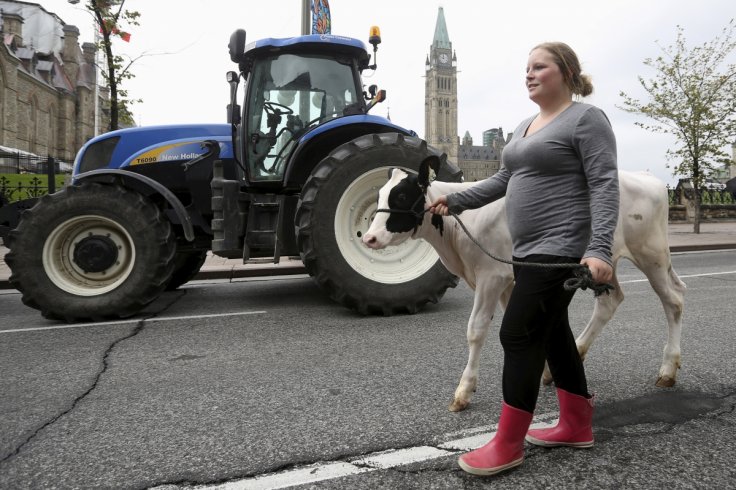 anti-TPP protests in New Zealand