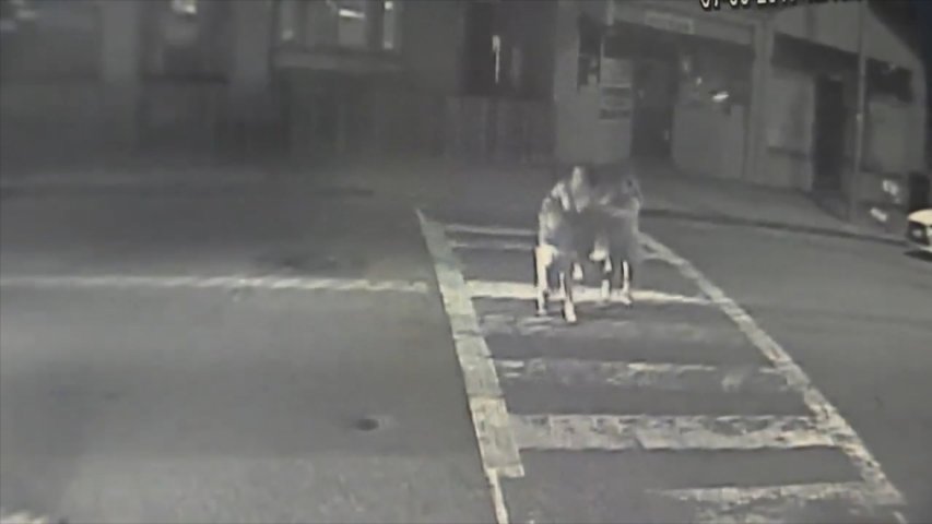 Video shows car plowing into family at dangerous crosswalk