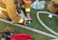 Firefighters rescue and revive dog suffering from smoke inhalation Firefighters rescue and revive dog suffering from smoke inhalation