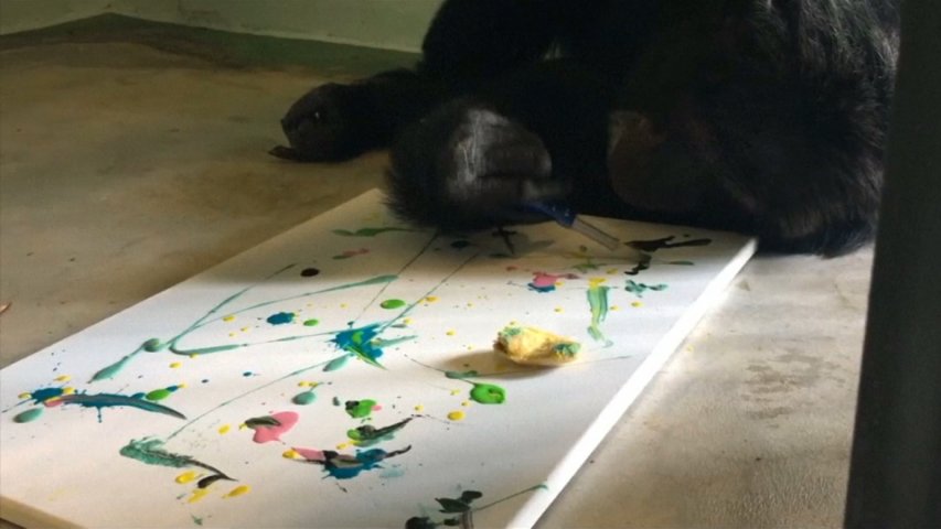 Michael Jacksons chimpanzee becomes star of Miami art exhibition