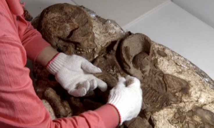 4,800-year-old remains of mother cradling her baby found in Taiwan