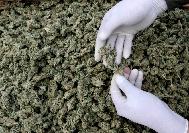 30 kg of ganja seized, four people arrested 30 kg of ganja seized, four people arrested