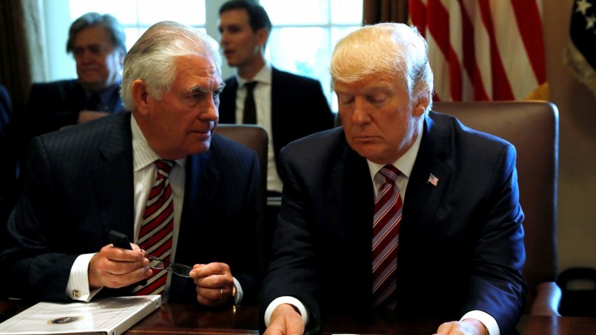 Tillerson comfortable working with Trump: We have a good relationship