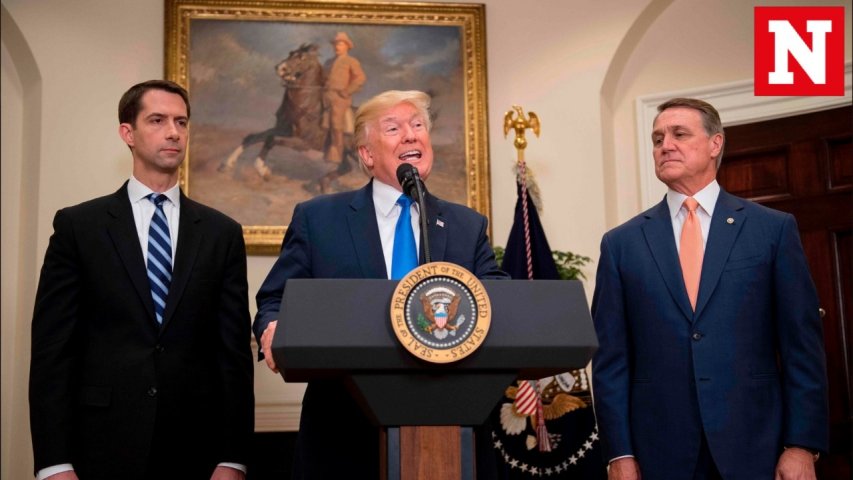 Who gets priority if Trumps point based immigration plan gets approved?