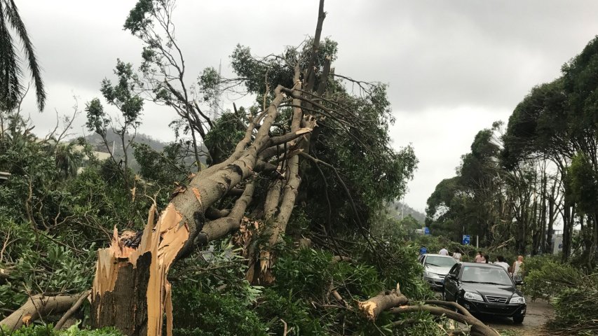 Timelapse shows typhoon Hato winds sweeping through Macau