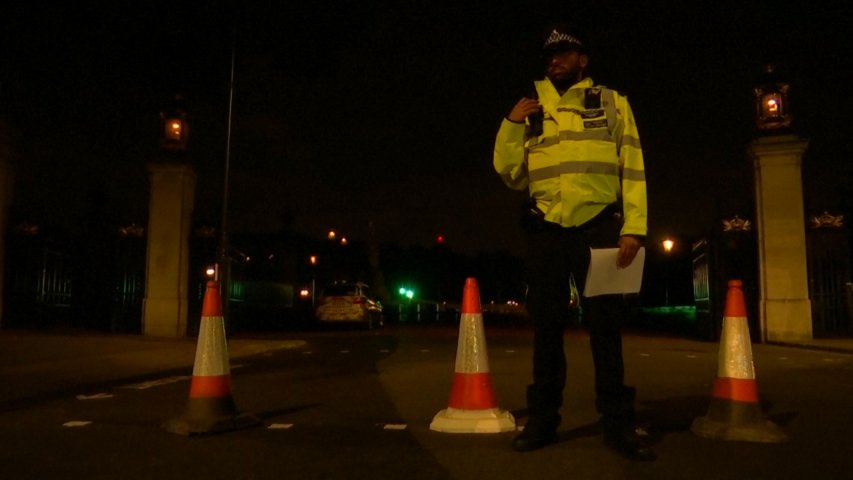 Man arrested outside Buckingham Palace after attacking two police officers