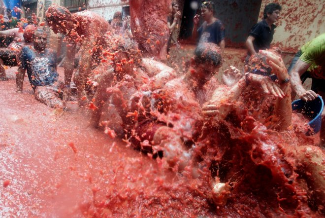 Tomatina Festival