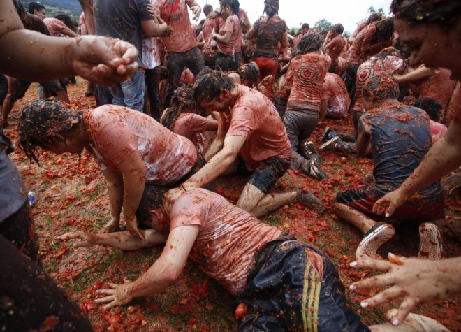 Tomatina Festival Tomatina Festival