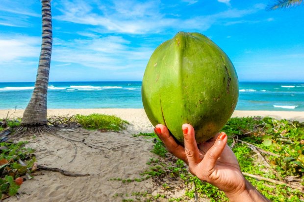 Coconut water Coconut water