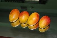anti-cancer mango