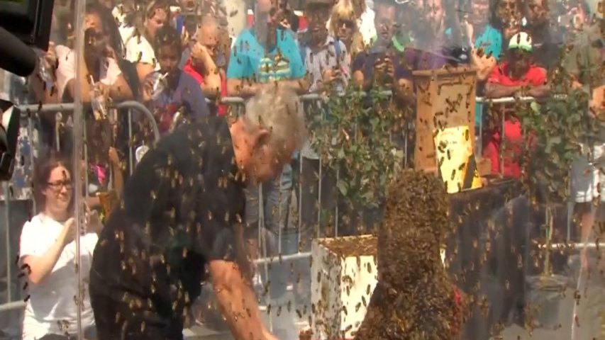 New bee beard record set in Toronto