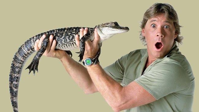 Steve Irwin