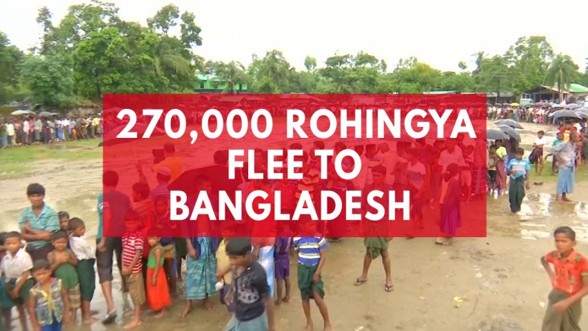 270,000 Rohingya flee to Bangladesh after weeks of violence