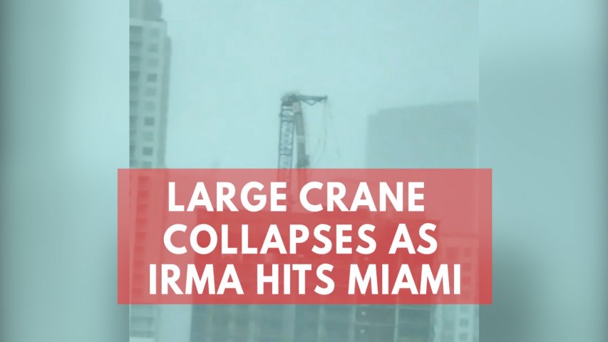 Watch: Large crane collapses as Hurricane Irma hits Miami