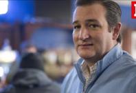 Ted Cruz liked a hardcore porn video on Twitter and people found it hilarious Ted Cruz liked a hardcore porn video on Twitter and people found it hilarious