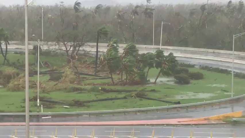 Hurricane Maria brings down trees and power lines in Puerto Rico