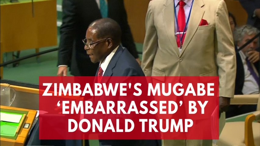 Zimbabwes Mugabe embarrassed by biblical giant gold goliath Donald Trump