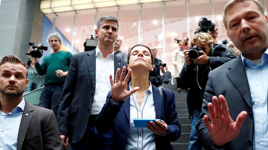 What is Germanys AfD?