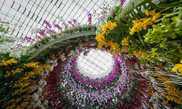 Singapore Garden Festival