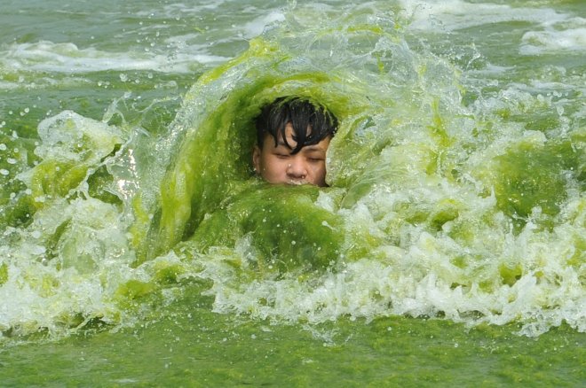 Algal bloom Algal bloom