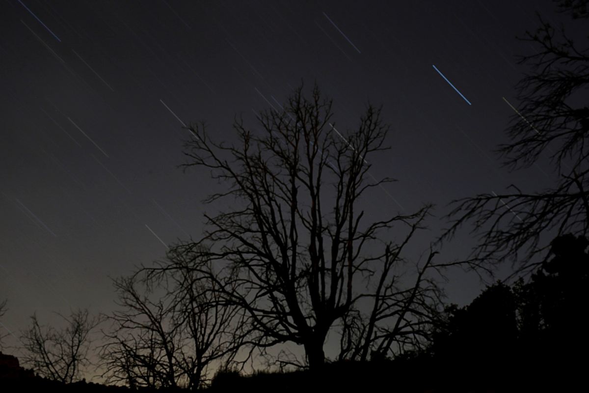 Perseid Meteor Shower: When And How To Watch In The US, UK, Canada ...