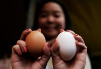 Hen's eggs to fight cancer