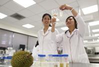 Scientists crack durian genome