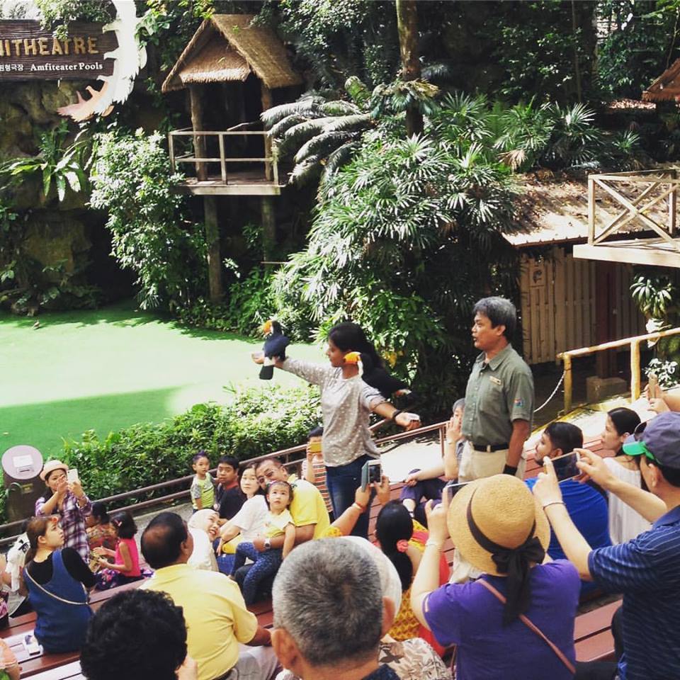 show birds in Jurong Bird Park