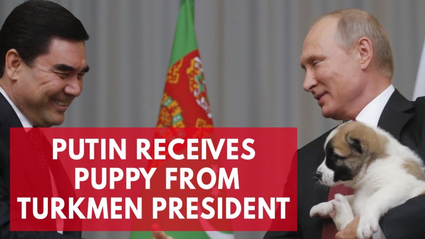 Dog lover Putin gets puppy present from Turkmen leader