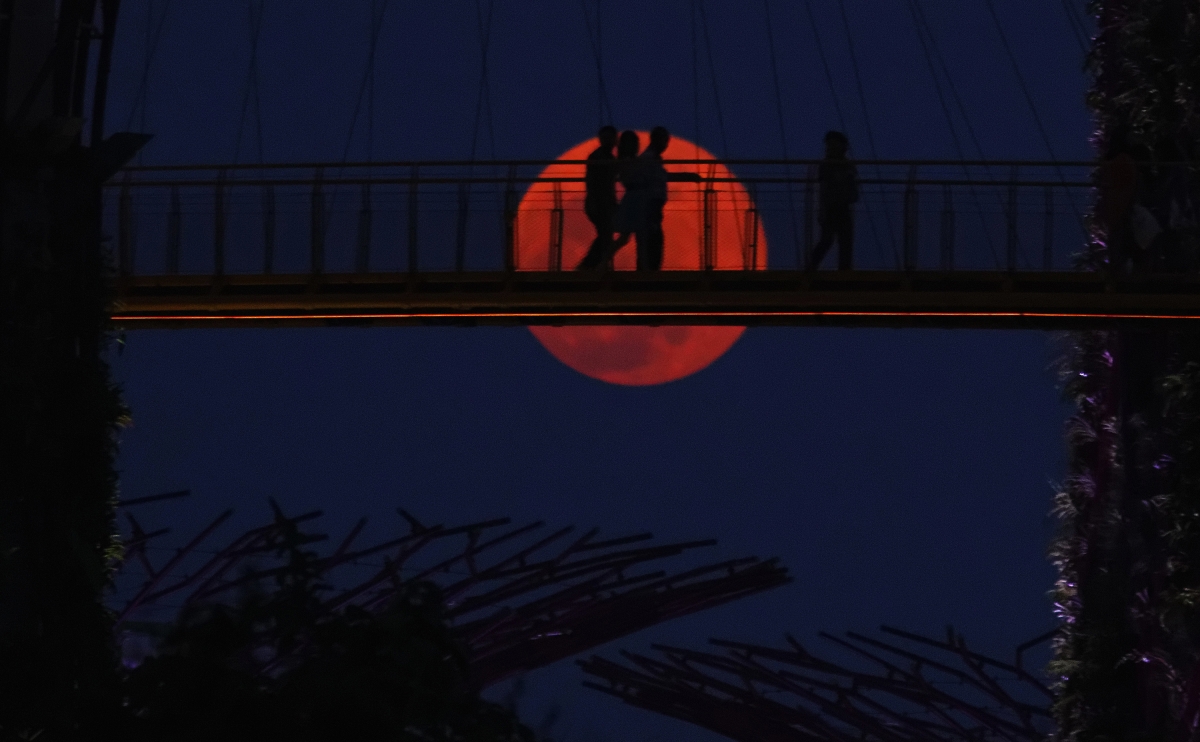 Tourist  walk  on  the sky walk of Super tree in Evening