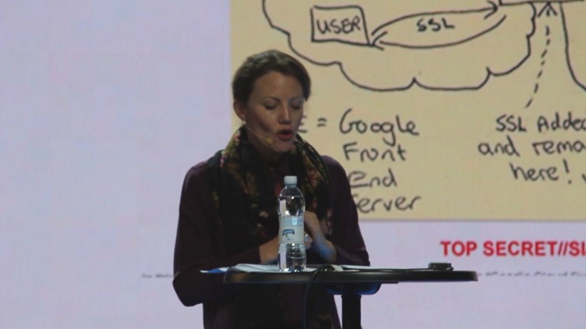 WikiLeaks legal researcher Sarah Harrison talks about mass surveillance