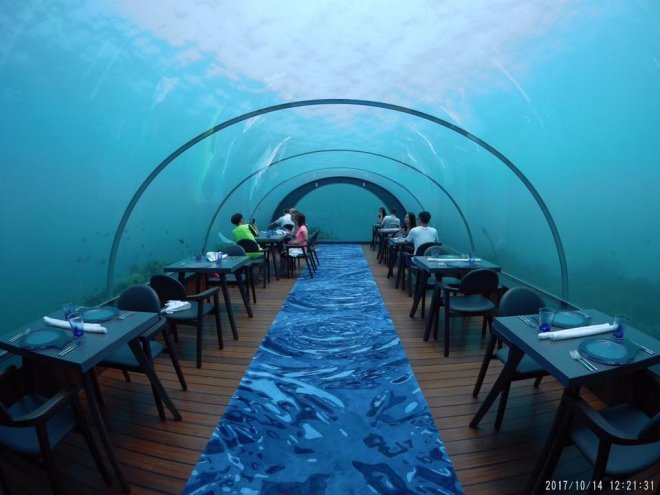 5.8 Under sea resturant