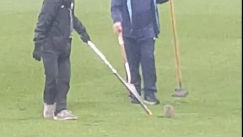 Grey squirrel hopes to stick around for Manchester City Cup game much to groundsmen dismay