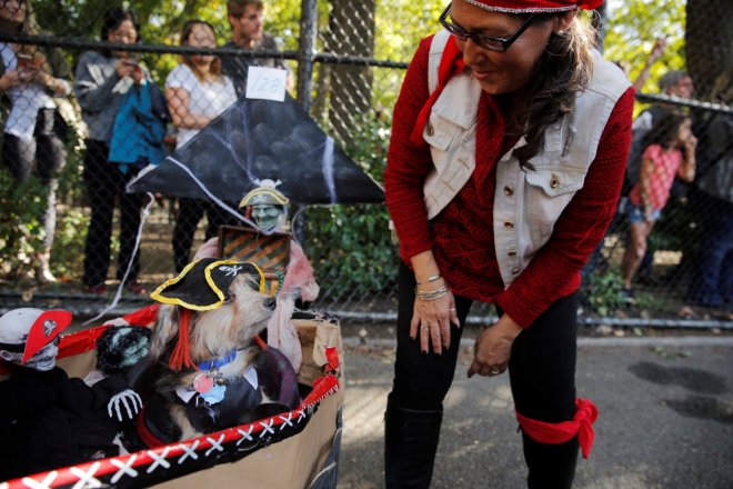 halloween dog parade