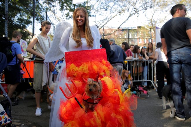 halloween dog parade