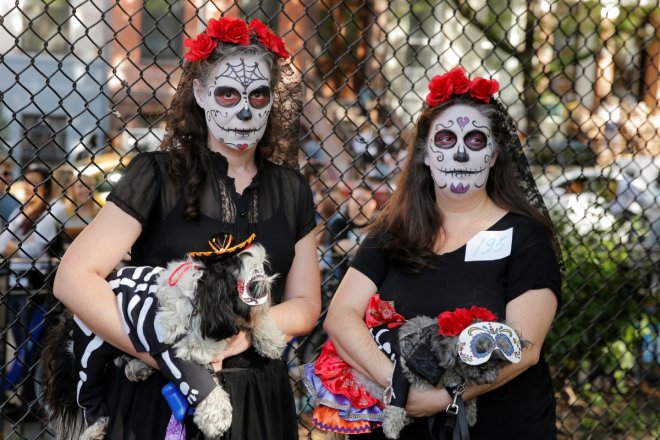 halloween dog parade