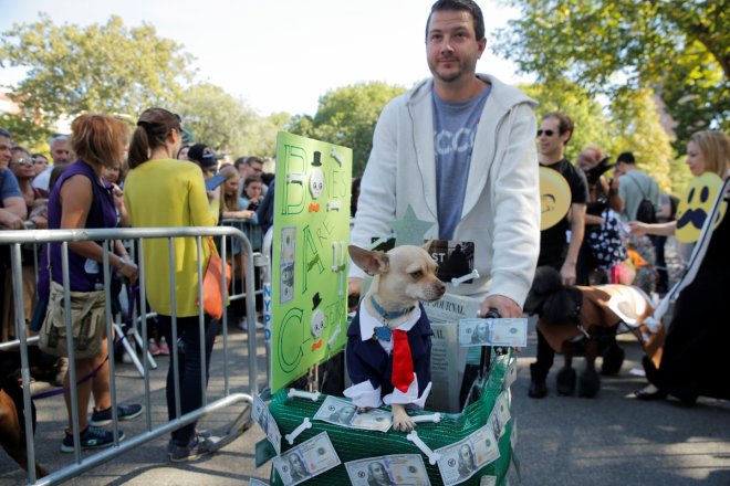 halloween dog parade