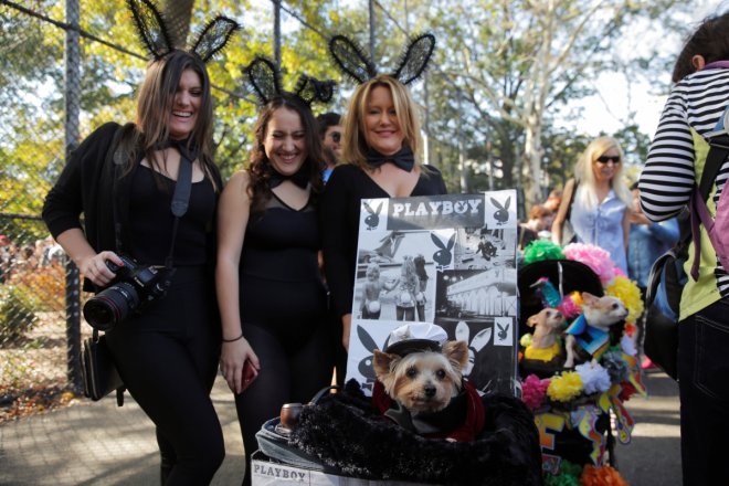 halloween dog parade