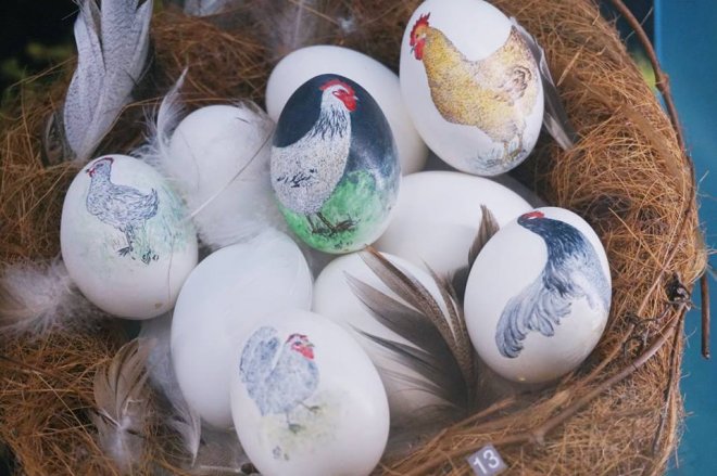 Precious  Eggs : Of Art, Beauty anmd Culture