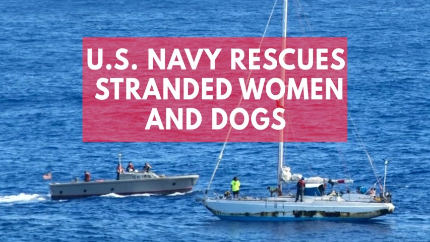 US Navy rescues 2 female mariners and their dogs stranded at sea for months