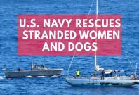 US Navy rescues 2 female mariners and their dogs stranded at sea for months
