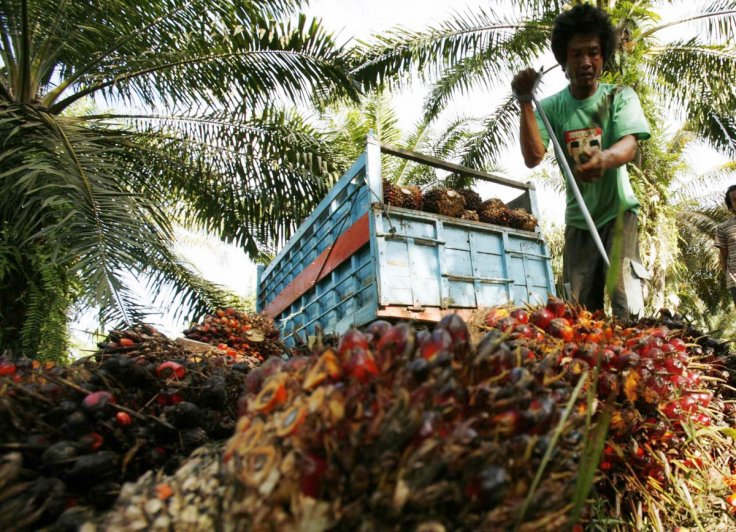 Malaysia: Freak accident sniffs life out of boy plucking ...