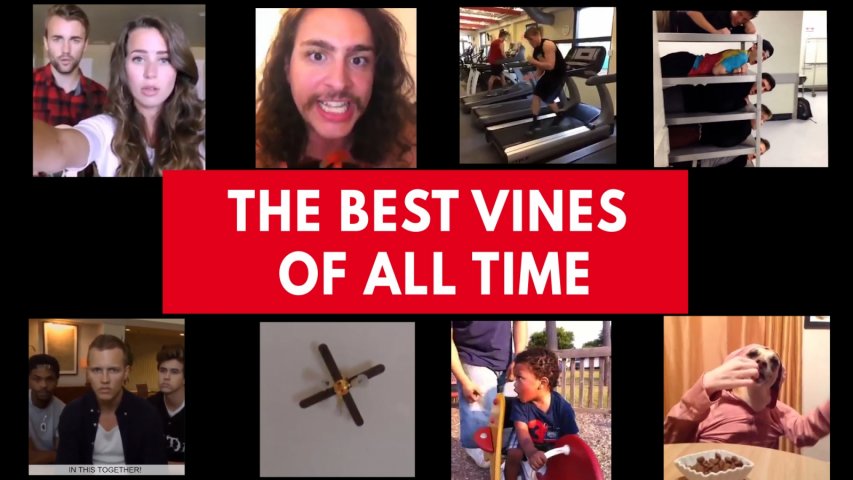 The best Vines of all time