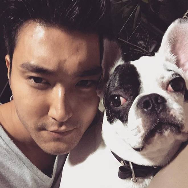 Siwon with his dog Bugsy