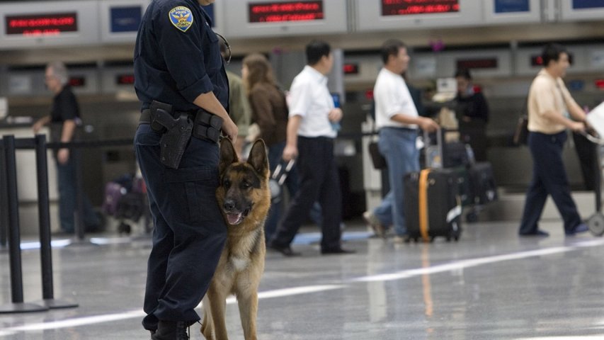 Trumps extreme vetting of immigrants explained